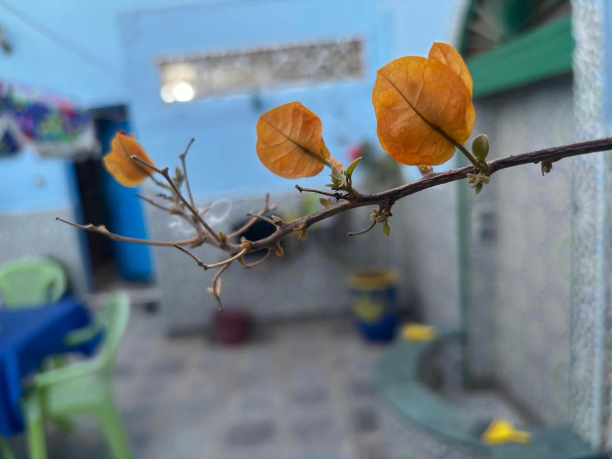 Villa Casa Morisca Sidi Ifni Exterior foto